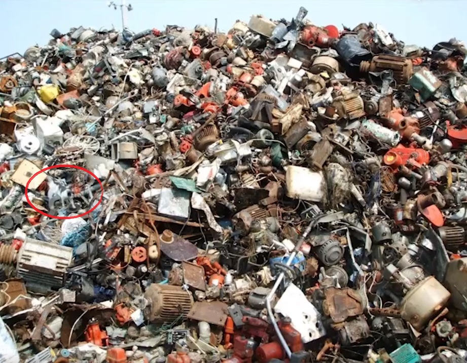 Де серед сміття заховався кіт? Знайти тварину за 6 секунд зможуть лише найуважніші